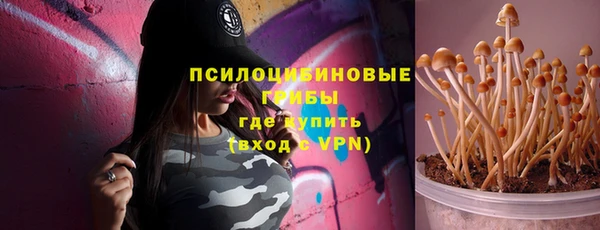соль курить ск Нязепетровск
