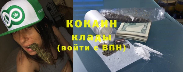 Альфа ПВП Няндома