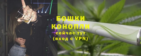 альфа пвп Новодвинск