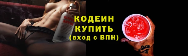 стаф Семилуки