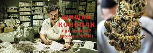 Альфа ПВП Няндома