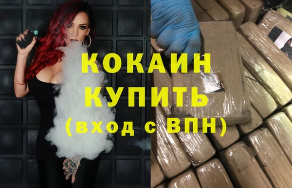 альфа пвп Новодвинск