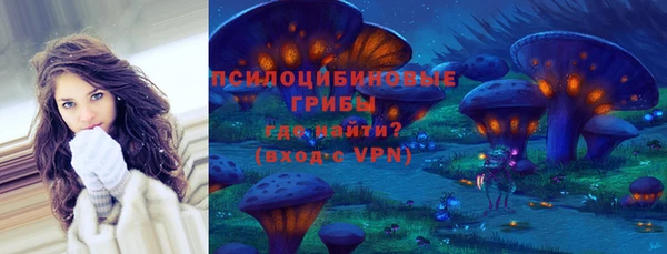 Альфа ПВП Няндома