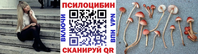 Псилоцибиновые грибы Psilocybine cubensis цены Назрань