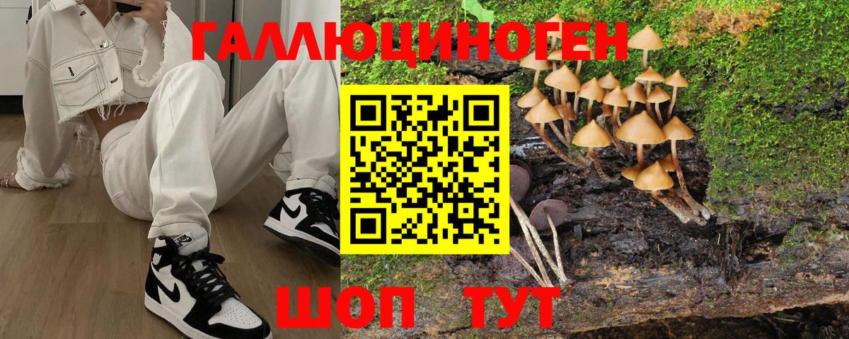 Галлюциногенные грибы Psilocybe  Галлюциногенные грибы мухоморы  Назрань 
