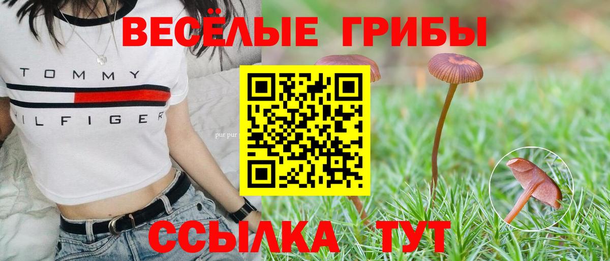 Галлюциногенные грибы мухоморы  Вход с VPN  Назрань 