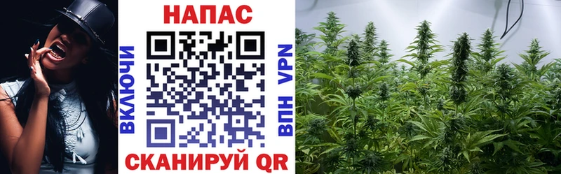МАРИХУАНА White Widow  как найти наркотики  Назрань 